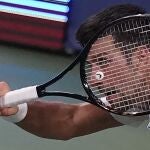 Djokovic las pasó canutas para vencer a Bautista en semifinales