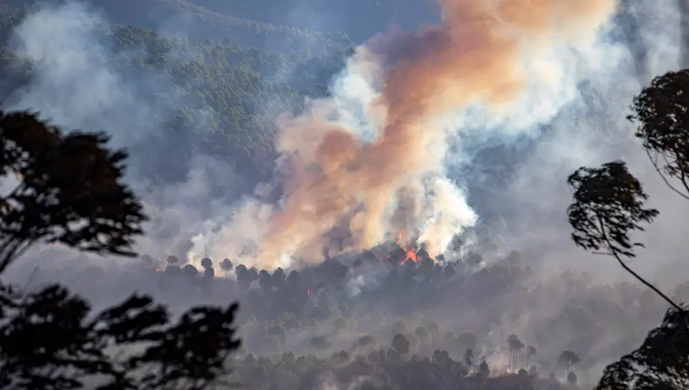 Las llamas han calcinado cientos de hectáreas de monte