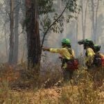 Los trabajos de extinción del incendio forestal declarado el pasado jueves en Almonaster la Real (Huelva) se han visto favorecidos esta noche por una pequeña bajada en la velocidad del viento