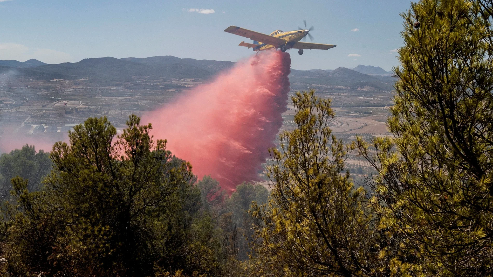 UME se suma a efectivos que intentan controlar el incendio en Mula (Murcia)
