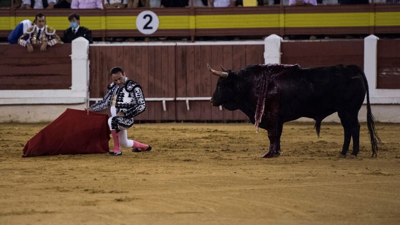 Martín de Blas: “Los toros lideran la audiencia en Castilla-La Mancha ...