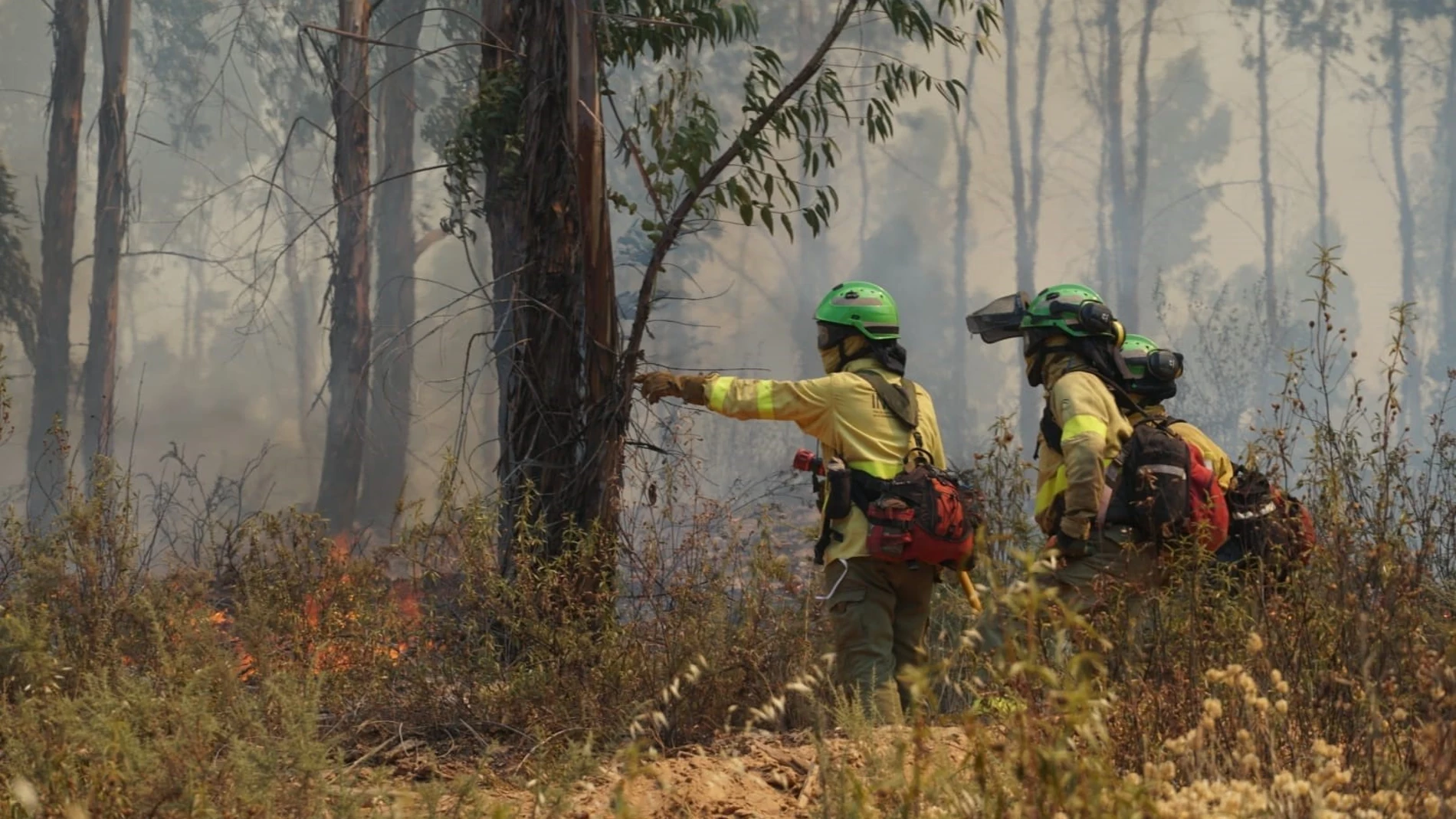 Huelva.-Incendios.-Un total de 24 aeronaves se incorpora al incendio de Almonaster tras una noche "con menos virulencia"