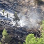 Estabilizado el incendio forestal declarado en Sierra de la Silla (Mula), que ha afectado a más de 30 hectáreasUDIF31/08/2020