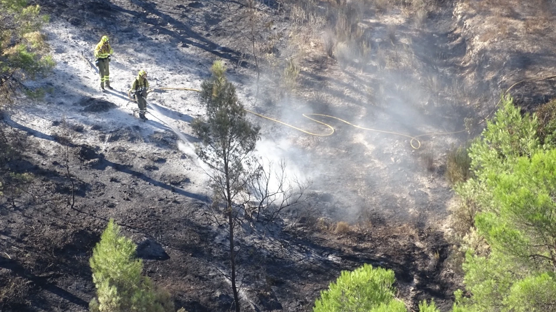 Sucesos.- Estabilizado el incendio forestal declarado en la Sierra de la Silla, que ha afectado a más de 350 hectáreas