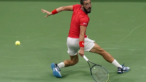 Damir Dzumhur, tenista bosnio