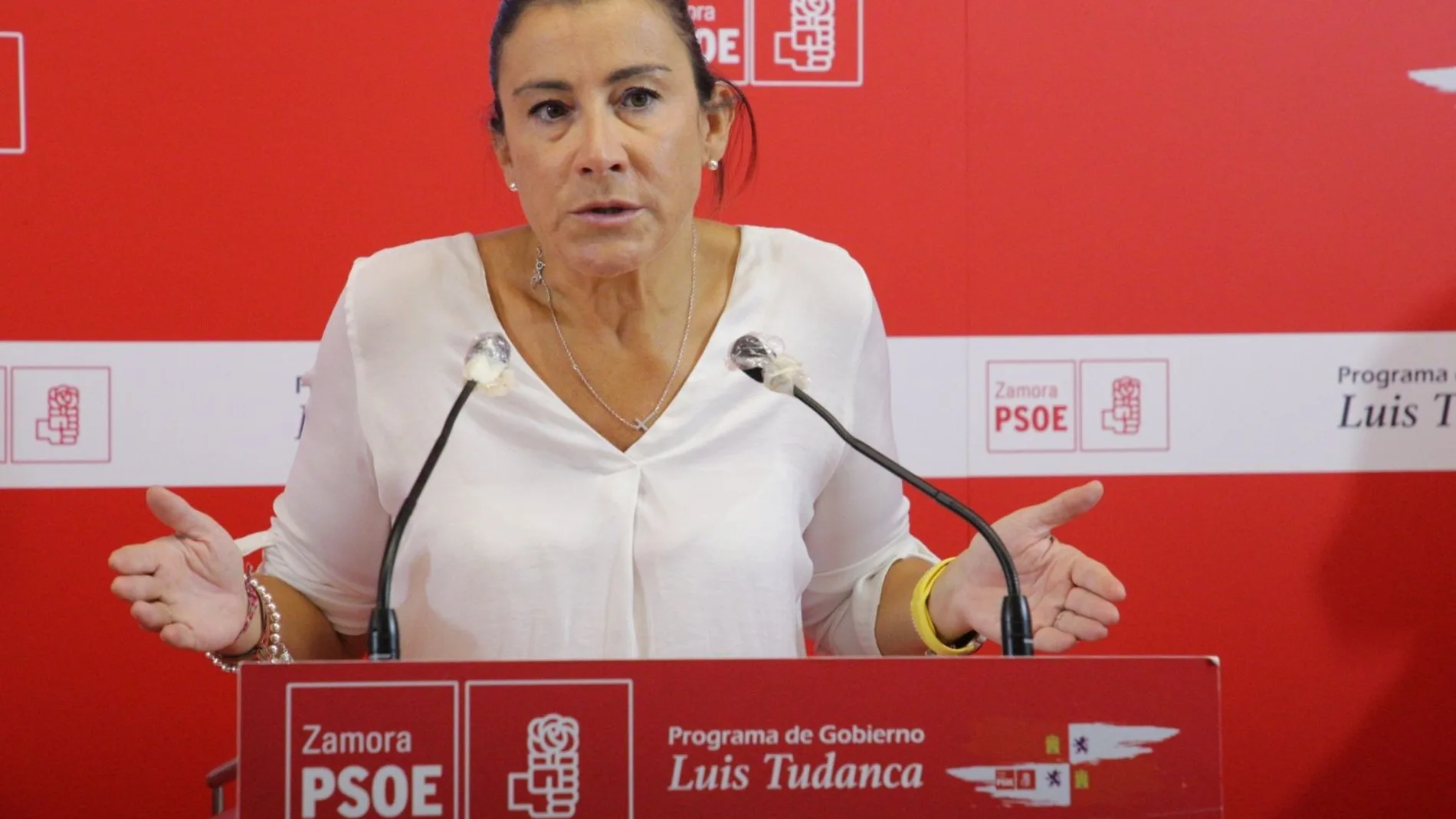 La secretaria de Organización del PSOE de Castilla y León, Ana Sánchez, atiende a la prensa