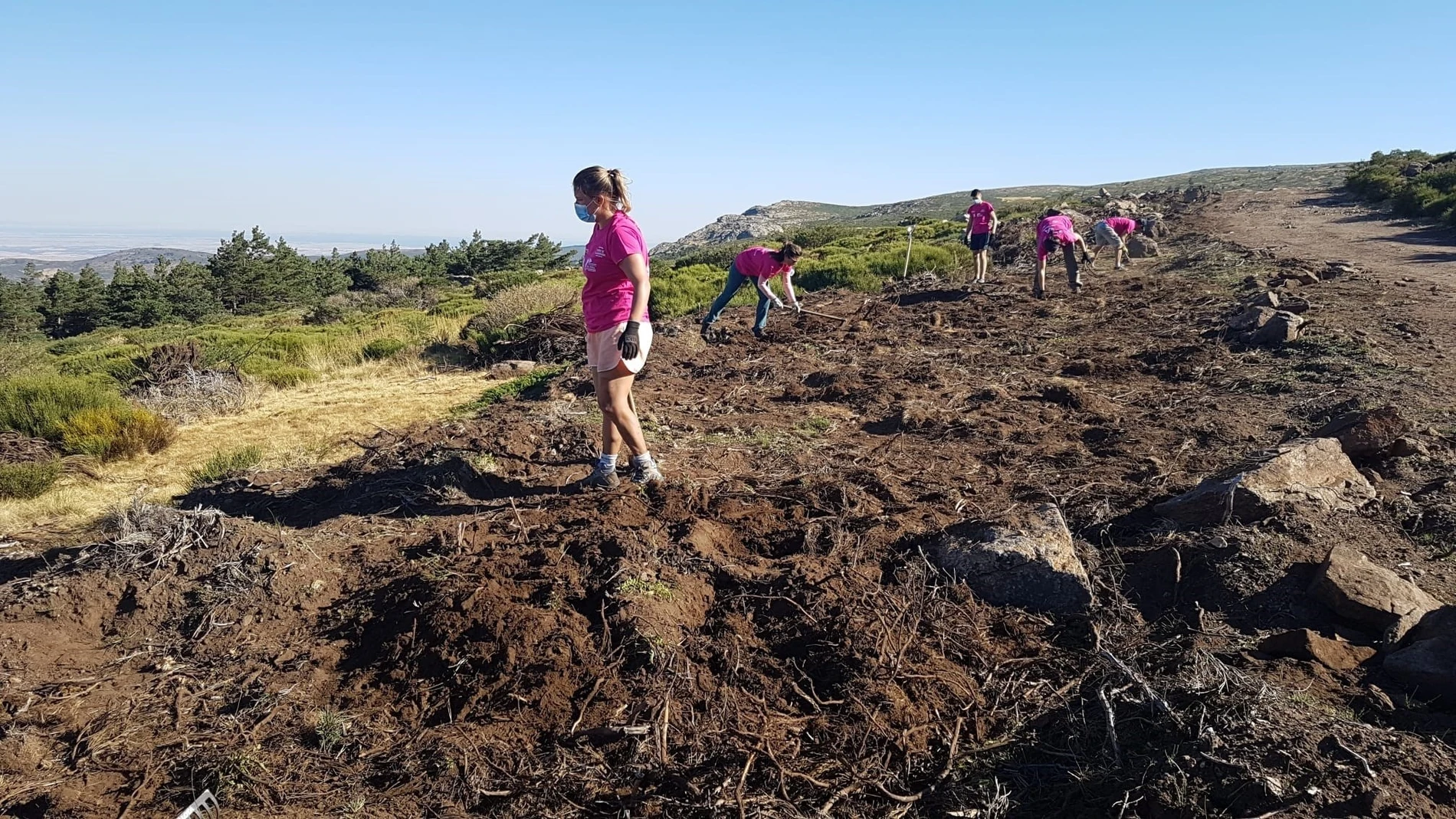 Más de 600 personas han participado en las actividades de voluntariado ambiental de la Junta el primer semestre