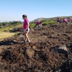 Actividades de voluntariado ambiental en Castilla y León