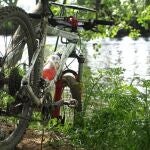 Bicicleta de montaña