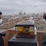 Jalis de la Serna realiza un experimento para el primer episodio de «Natural», que trata sobre cómo están desapareciendo los gorriones