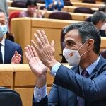 El presidente del Gobierno, Pedro Sánchez, hoy en el Senado