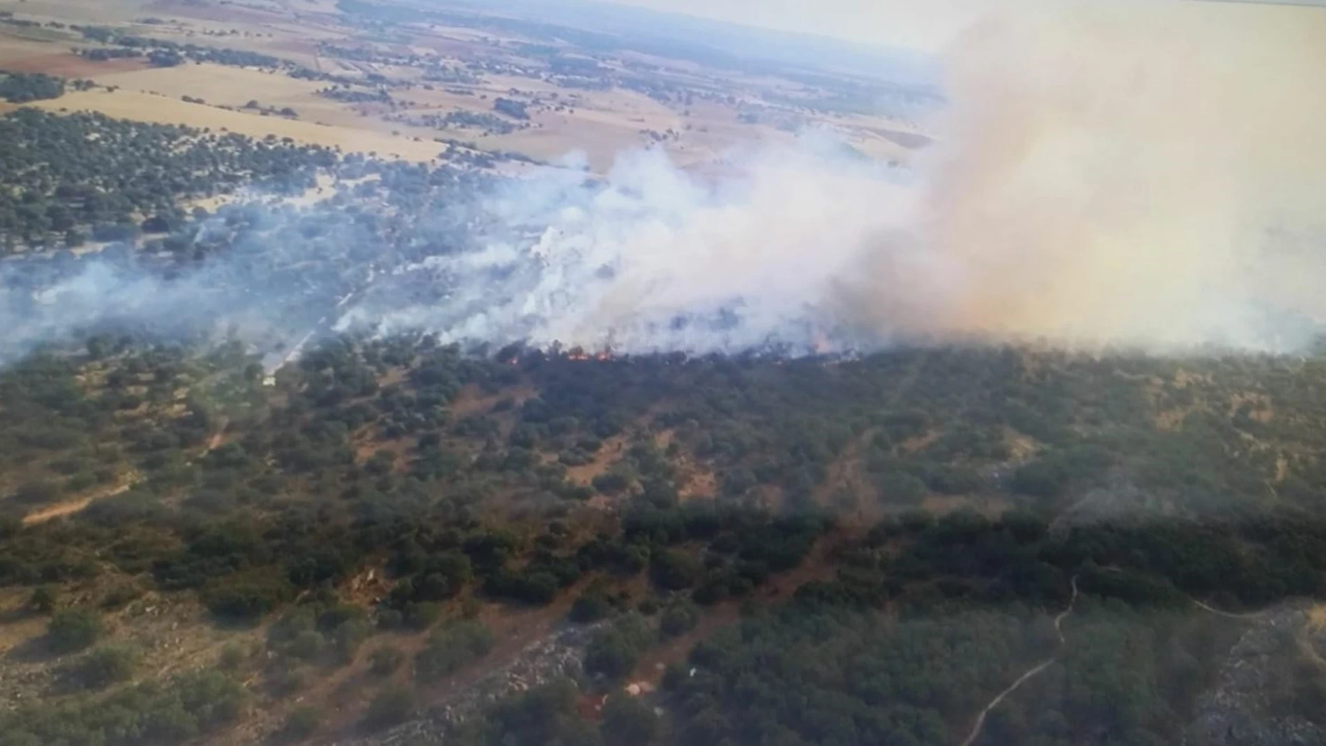 Incendios.- Declarado de nivel 1 un fuego en Morales de Rey (Zamora) por cercanía al pueblo