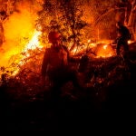 Los bomberos tratan de controlar el fuego cerca de Arcadia, California