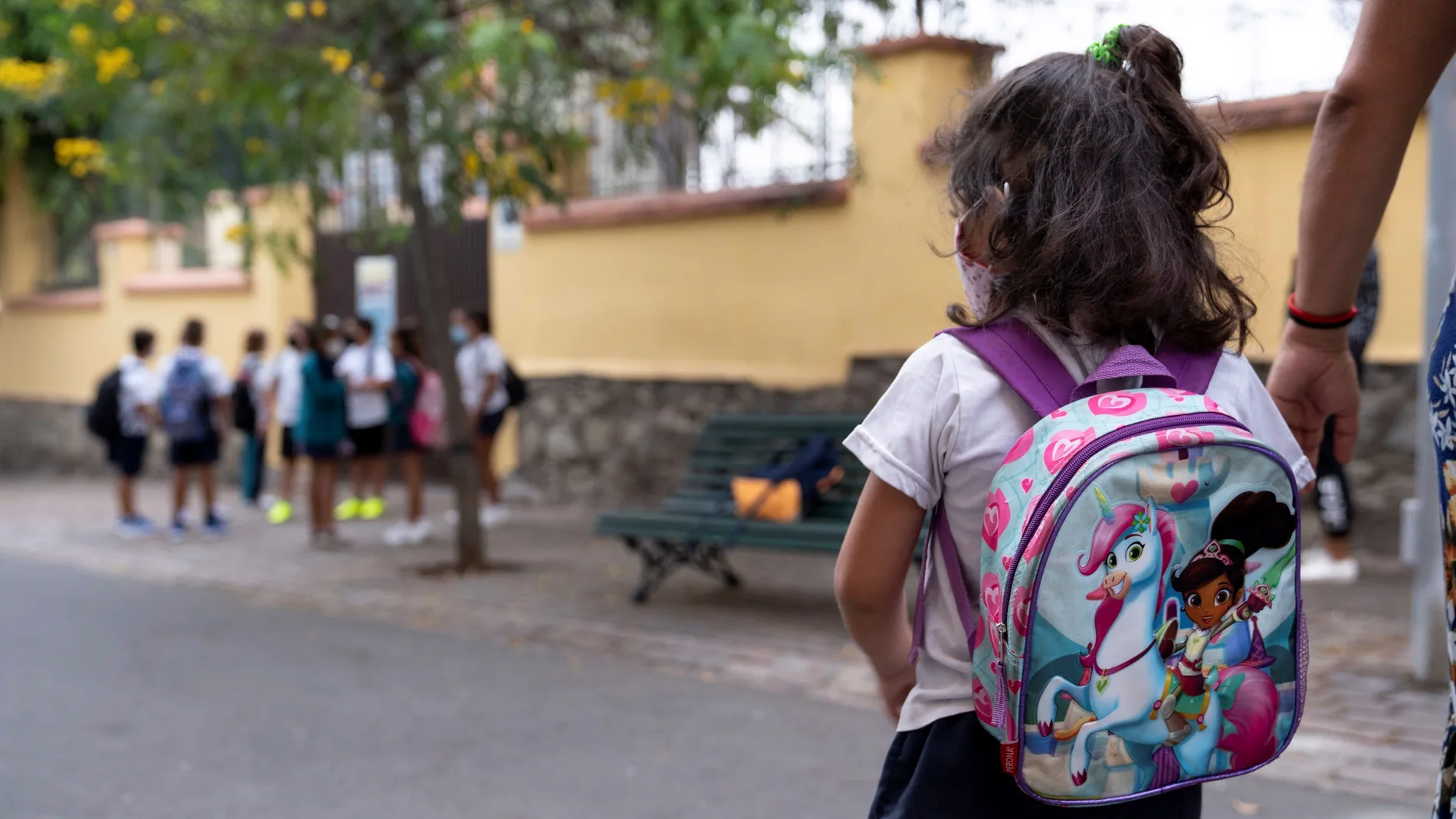 Unos 162.600 alumnos de Infantil y Primaria regresan a las aulas este martes en Canarias