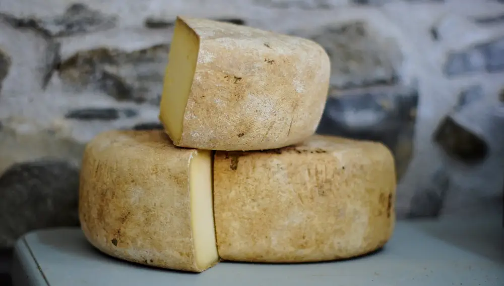 A medida que la ciencia ha ido avanzando se han ido desterrando muchos mitos sobre el queso. Este alimento milenario nos aporta innumerables beneficios para nuestra salud.