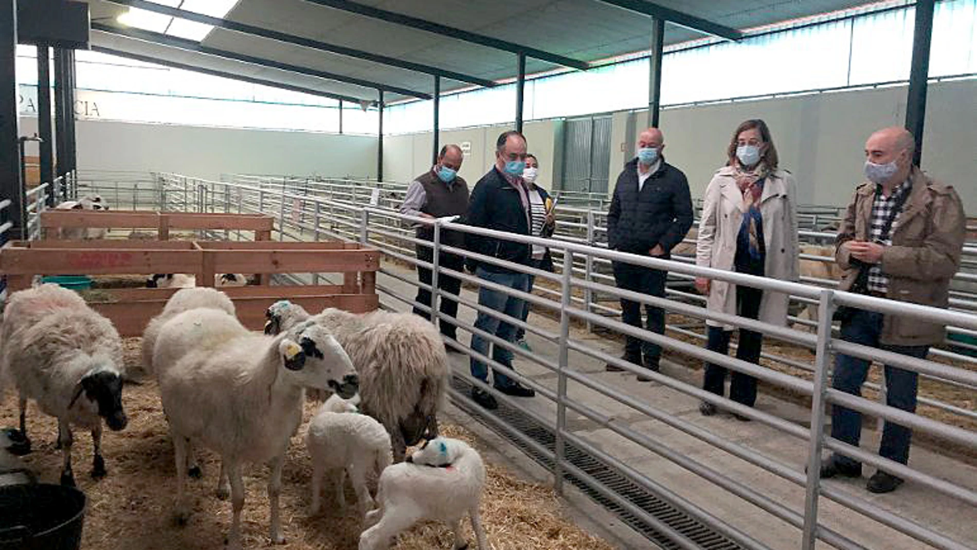 La presidenta de la Diputación de Palencia, María Ángeles Armisén, participa en la XXXIII Feria Churra