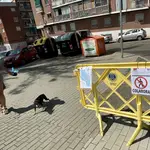 Una joven que pasea a su perro pasa junto a una valla de restricción de movilidad en el municipio de San Sebastián de los Reyes.