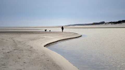 Federico Van Geldern, an Argentine citizen living in Balneario Solis, Maldonado, Uruguay, walks his dogs on the beach, Tuesday, Sept. 15, 2020. Since the new coronavirus pandemic started almost six months ago with its related lockdown, quarantine and economic hardship, thousands of Argentines like Van Geldern have decided to stay and live in Uruguay. (AP Photo/Matilde Campodonico)