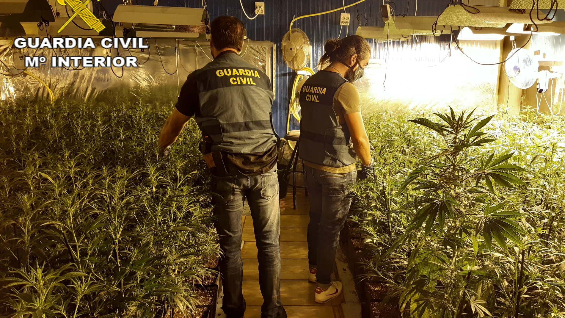 Una treintena de detenidos por tráfico internacional de marihuana en Cataluña. GUARDIA CIVIL