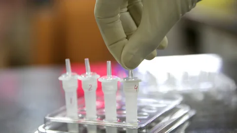 Los test rápidos estarán disponibles el lunes en los centros de salud de Jumilla, Lorca y Totana