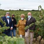 El consejero de Agricultura, Jesús Julio Carnero, visita la bodega Torremilano en Aranda de Duero