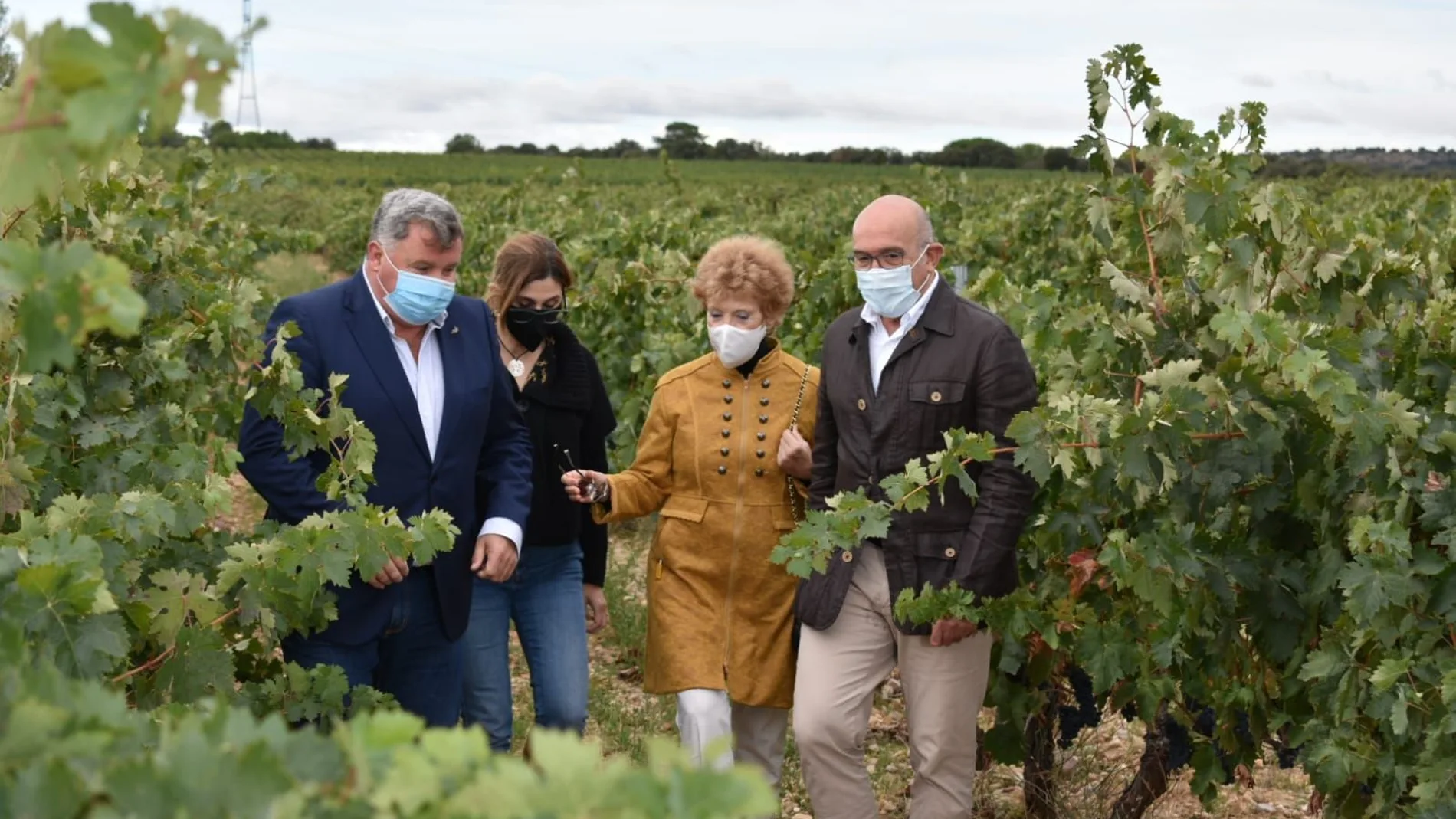 El consejero de Agricultura, Jesús Julio Carnero, visita la bodega Torremilano en Aranda de Duero