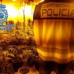 Operación policial contra la marihuana en la zona norte de Granada