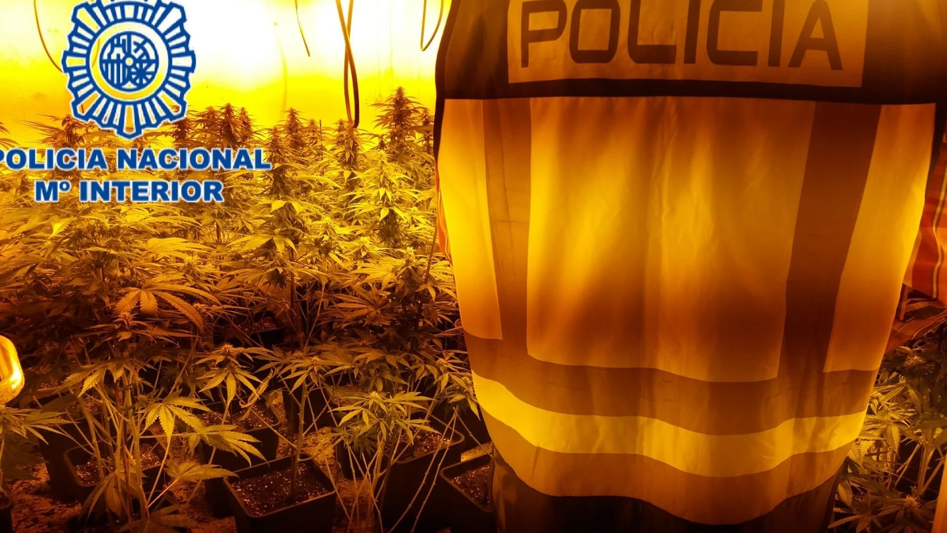 Operación policial contra la marihuana en la zona norte de Granada