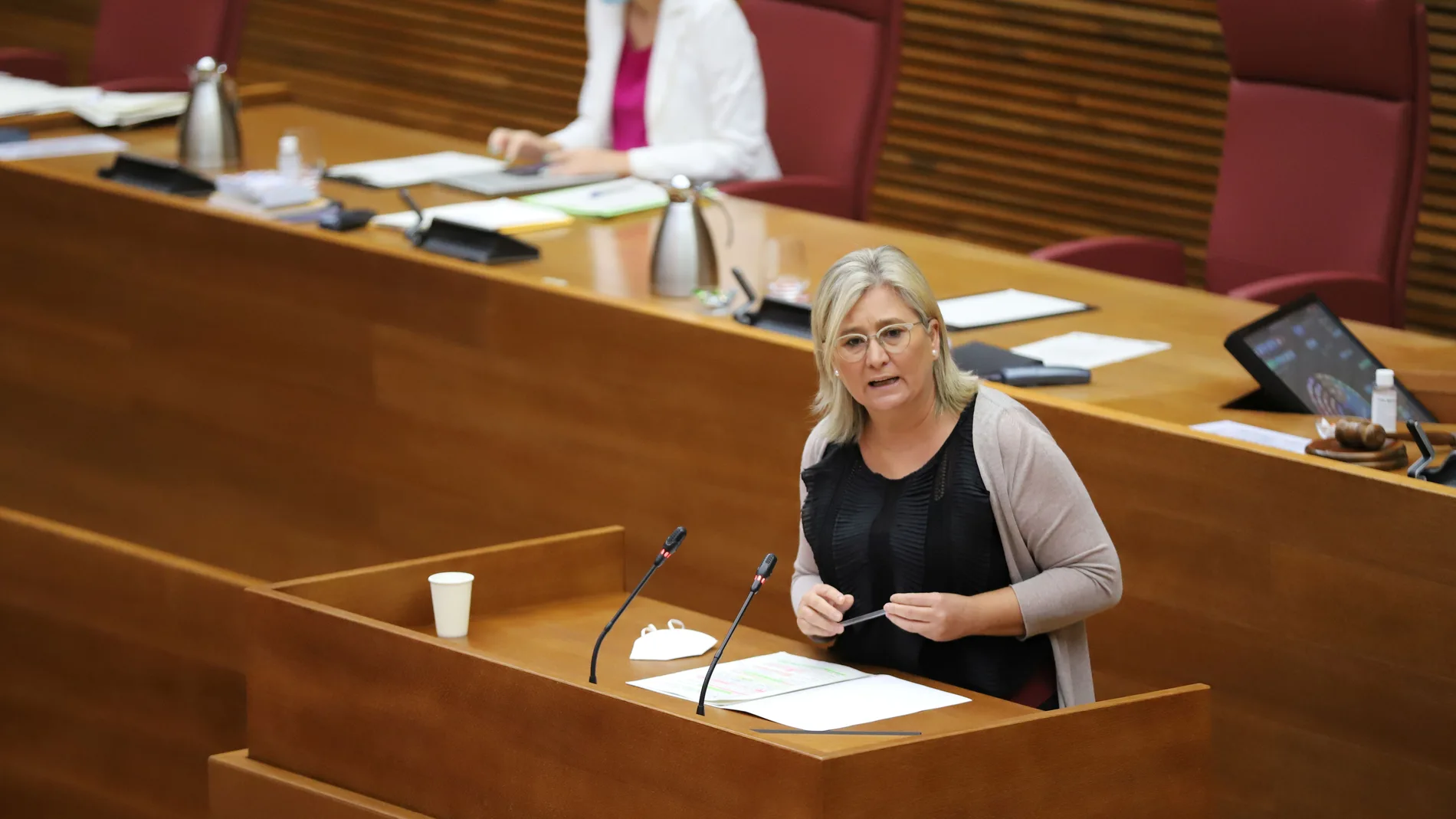 La diputada de Ciudadanos, Mamen Peris, ha defendido una iniciativa para evitar la ocupación ilegal de viviendas