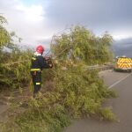 Lorca fue el segundo municipio más afectado de la Región por el temporal de viento de este viernes, solo superado por Murcia en número de incidencias