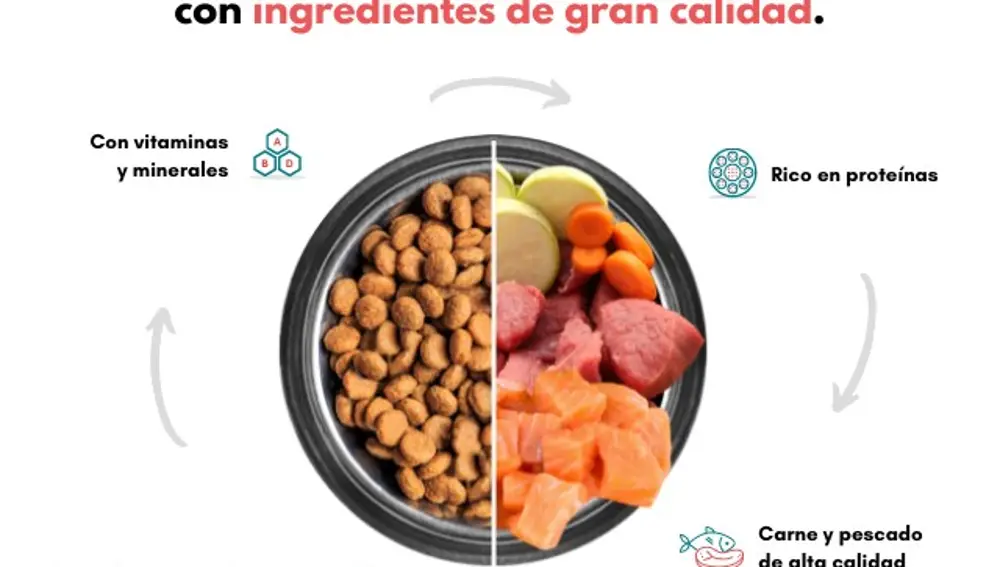 Alimentación equilibrada