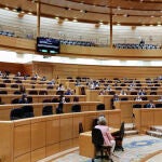 Vista general de una sesión de control al Gobierno en la Cámara Alta, en Madrid (España),EUROPA PRESS/J. Hellín. POOL / Europa Press06/10/2020