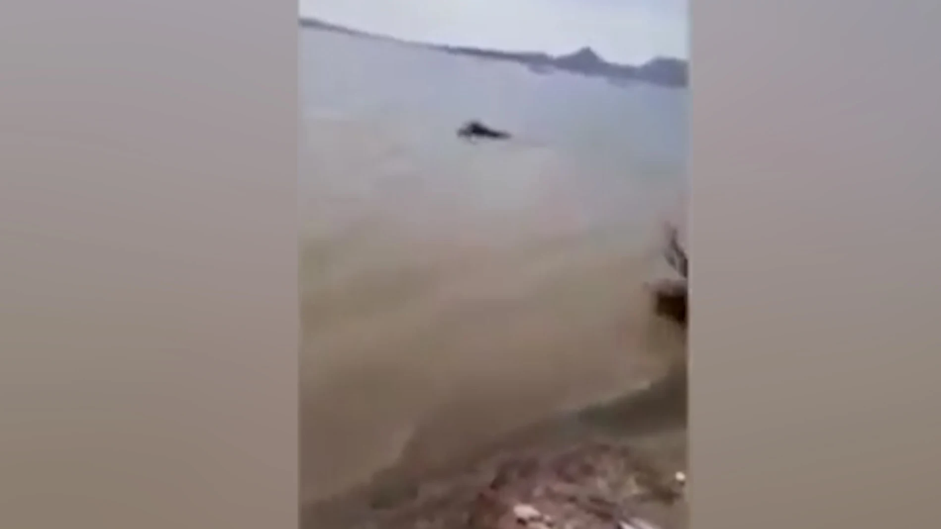 Un Hipopótamo arrastra a un niño a un lago propiciándole la muerte en Mbita, Kenia