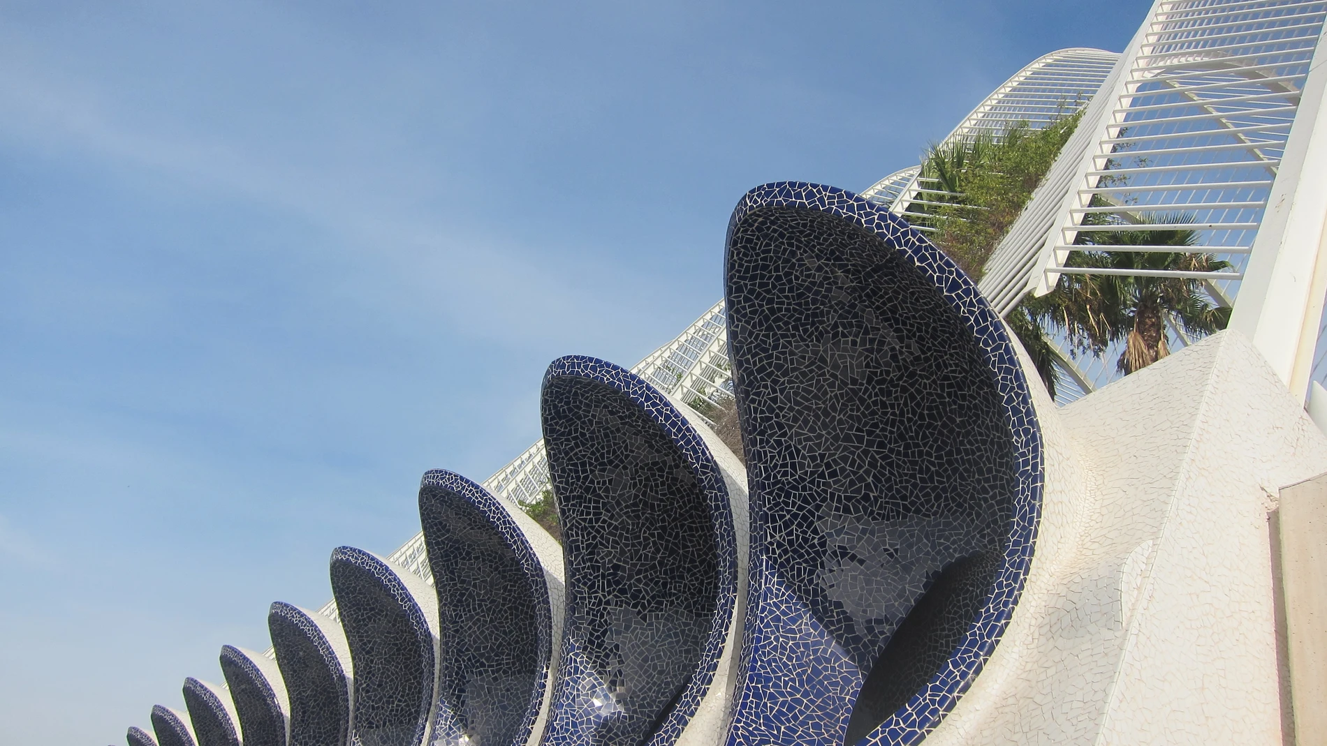 Lateral del Umbracle de la Ciudad de las Artes y las Ciencias de ValenciaEUROPA PRESS (Foto de ARCHIVO)17/10/2016