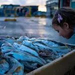 Una niña oliendo pescado.JÓN GÚSTAFSSON, DECODE GENETICS 07/10/2020
