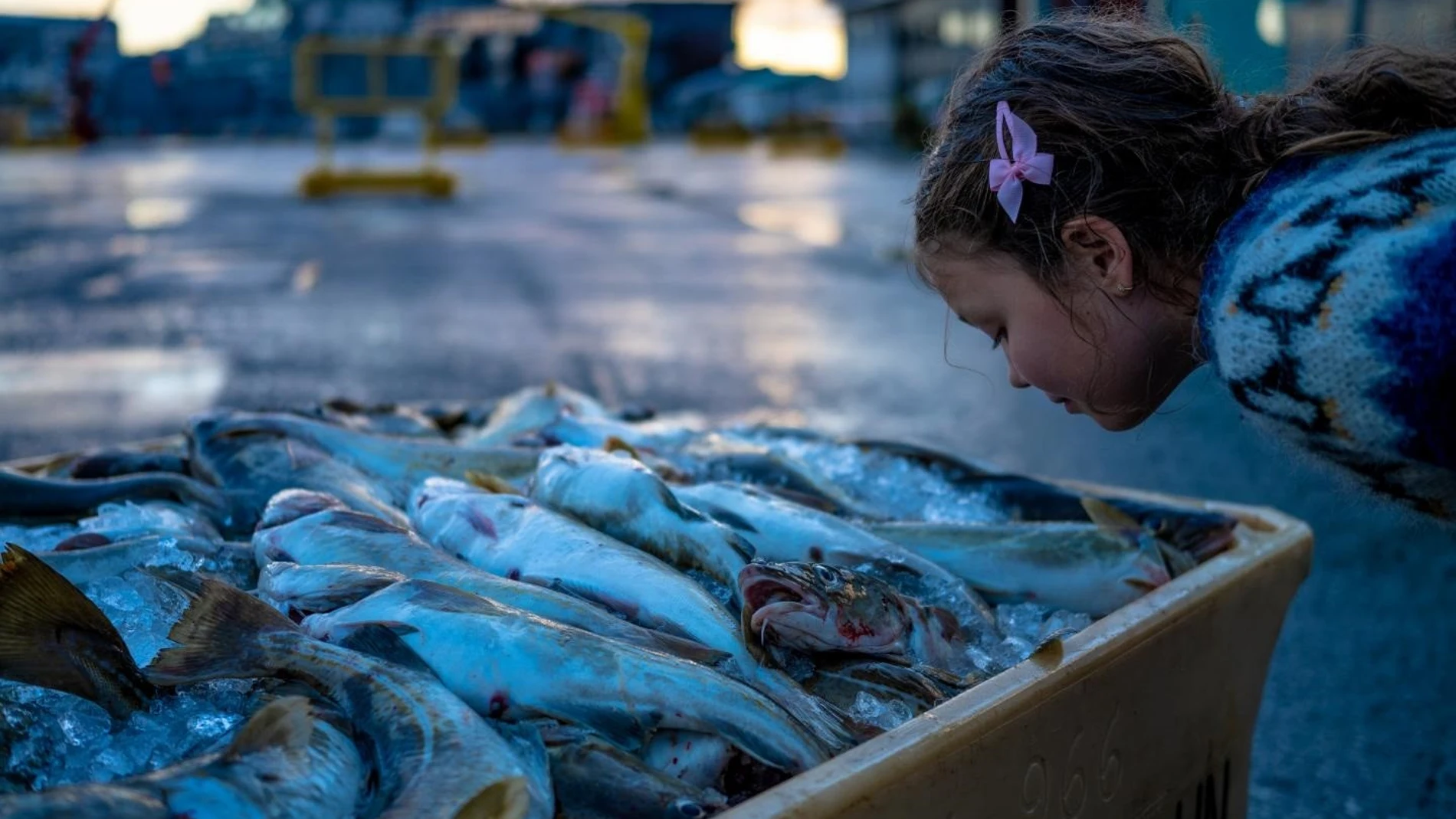 Una niña oliendo pescado.JÓN GÚSTAFSSON, DECODE GENETICS 07/10/2020