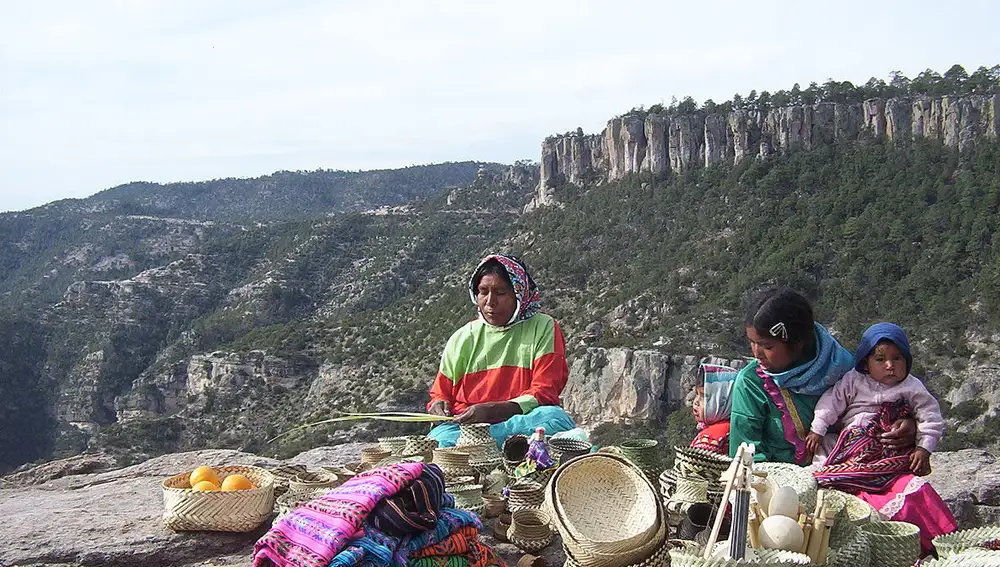 Mujeres tarahumara elaborando cestos de mimbre.