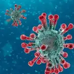 Detectan una posible mutación del coronavirus relacionada con el frío