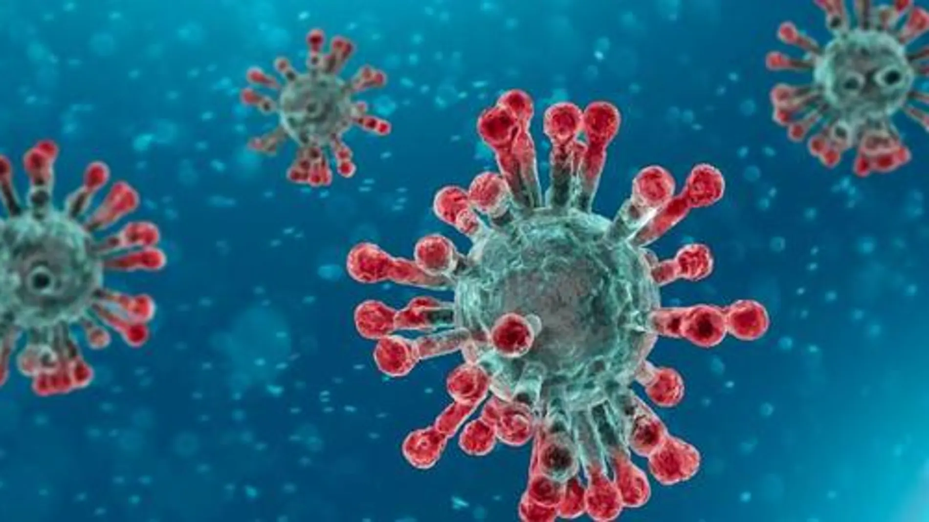 Detectan una posible mutación del coronavirus relacionada con el frío