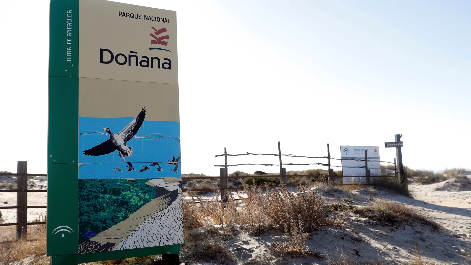 Vista de un cartel en la playa del Parque Nacional de Doñana-Matalacañas en Huelva