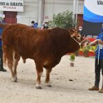 Subasta on line celebrada en tiempo real en el Recinto Ferial de la Diputación de Salamanca