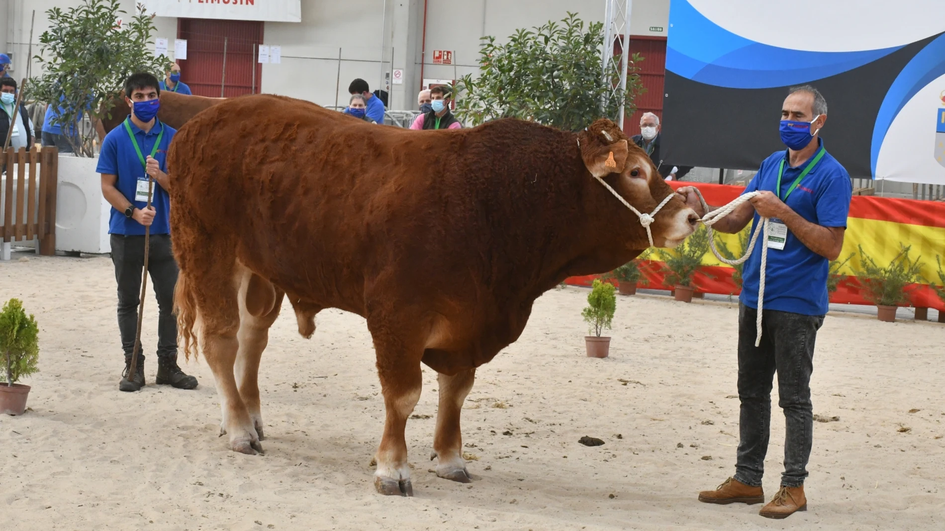 Subasta on line celebrada en tiempo real en el Recinto Ferial de la Diputación de Salamanca