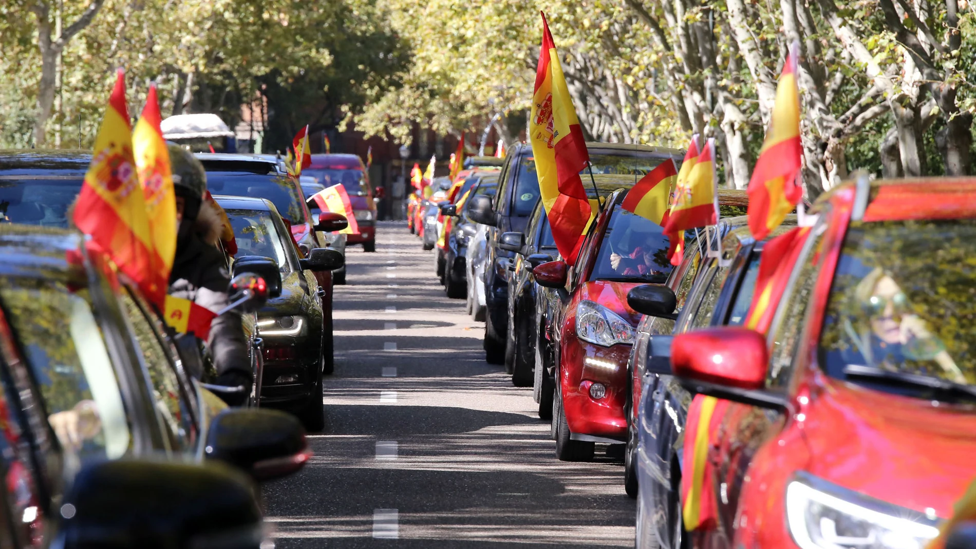 Centenares de personas participan en Valladolid en una manifestación con motivo del Día de la Fiesta Nacional