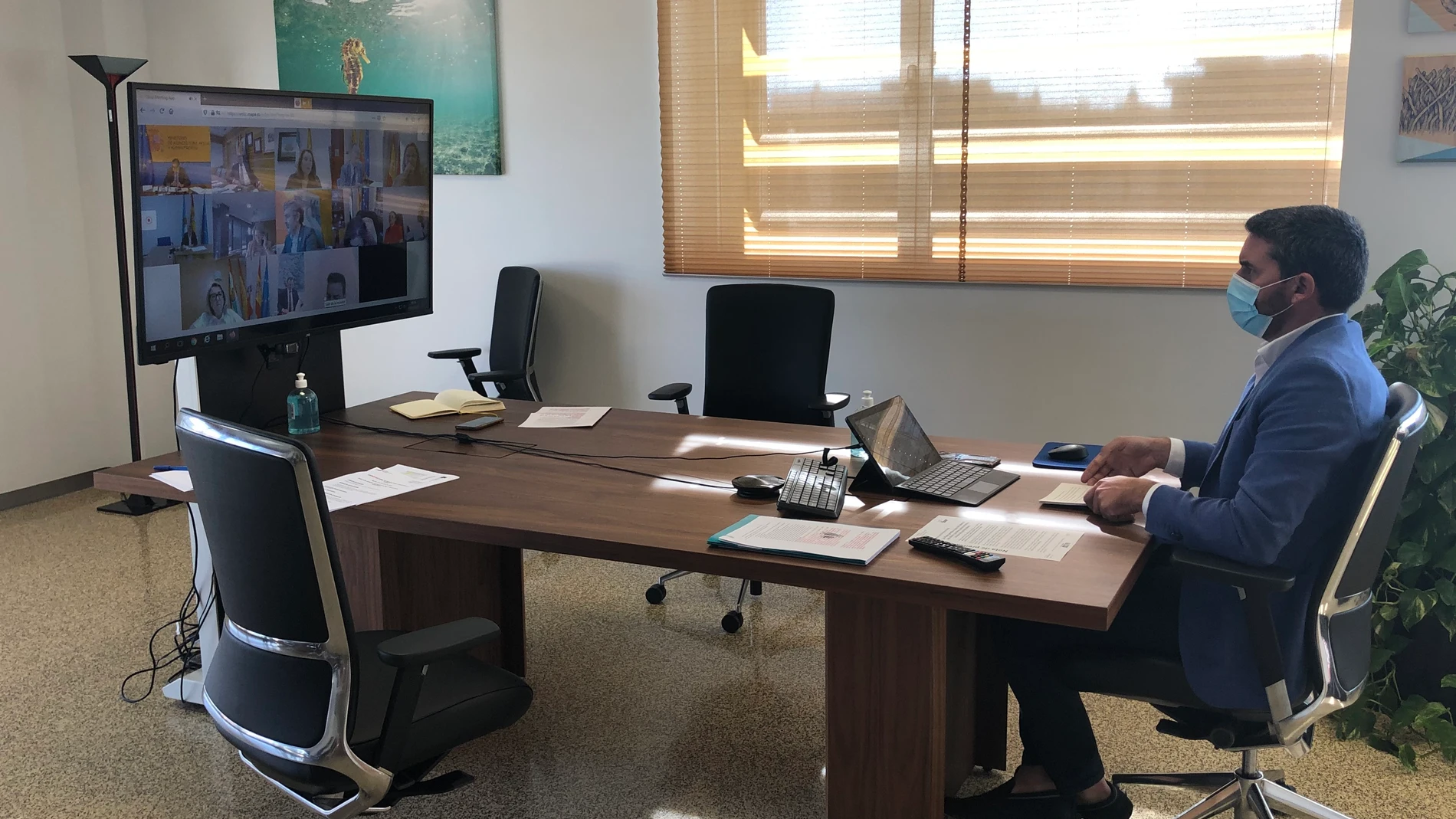 El consejero Antonio Luengo durante su intervención en el Consejo Consultivo de Política Agrícola para Asuntos Comunitarios
