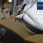 Interceptados cerca de 250 kg de cocaína en el puerto de Barcelona. MOSSOS D'ESQUADRA