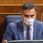 El presidente del Gobierno, Pedro Sánchez