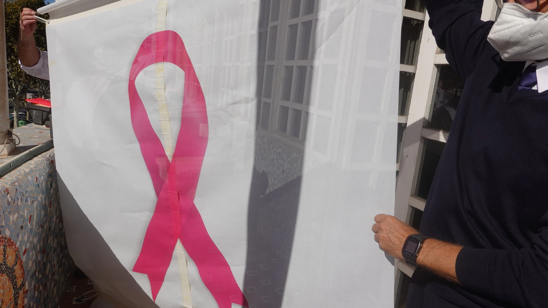 Funcionarios de la Asamblea colocan un gran lazo rosa en la fachada en solidaridad con las personas con cáncer de mamaASAMBLEA REGIONAL16/10/2020