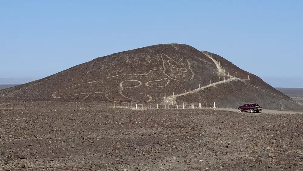 Un nueva figura descubierta entre los geoglifos de Nazca: un gato de 37 metros