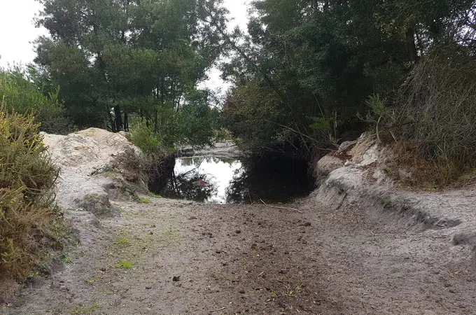 Daños a Doñana desde dentro: vigilantes del Parque permitieron hacer pozos y obras ilegales 