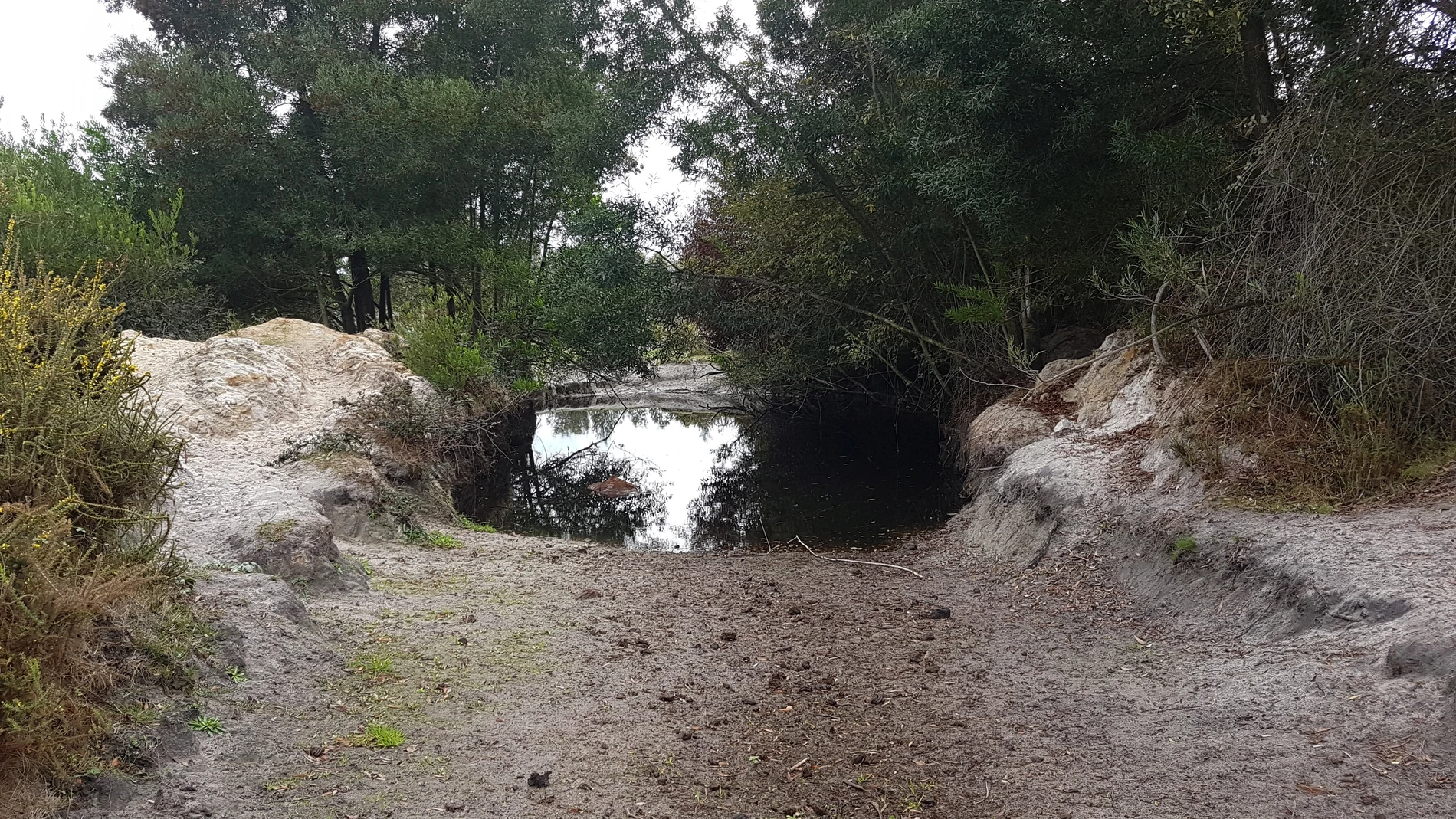 Una de las lagunas ilegales detectadas por la Guardia Civil en Doñana